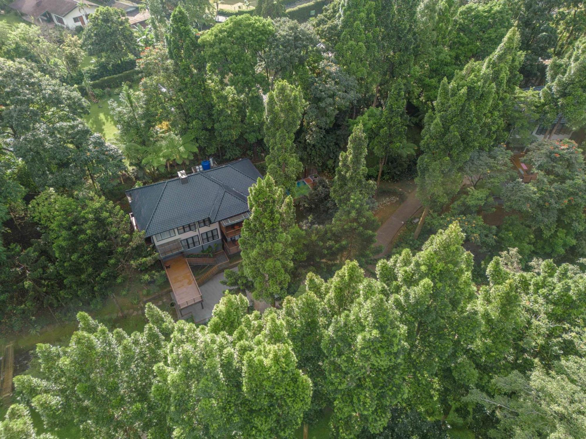 Plataran Puncak Villas Sampal Eksteriør bilde